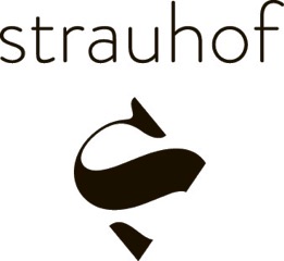 Logo Literaturmuseums Strauhof